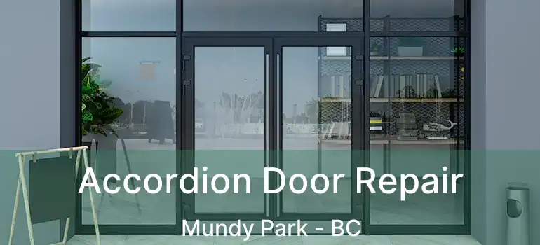  Accordion Door Repair Mundy Park - BC