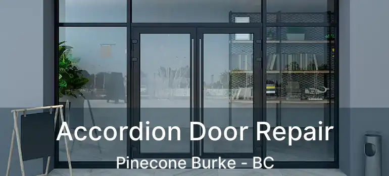  Accordion Door Repair Pinecone Burke - BC