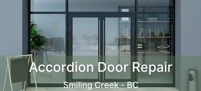  Accordion Door Repair Smiling Creek - BC
