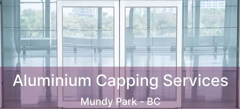  Aluminium Capping Services Mundy Park - BC
