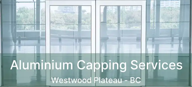  Aluminium Capping Services Westwood Plateau - BC