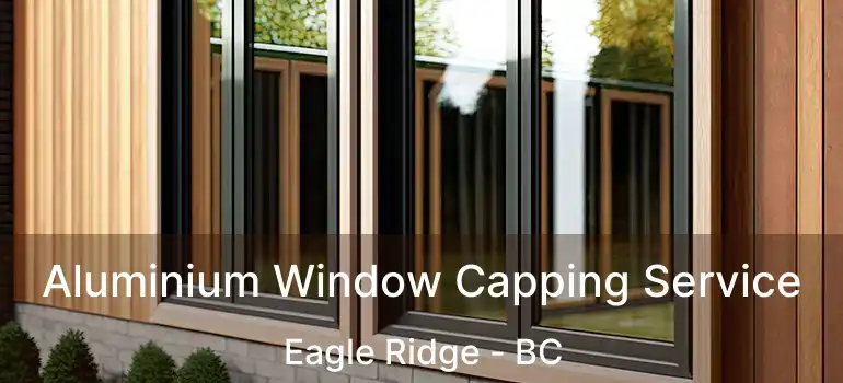  Aluminium Window Capping Service Eagle Ridge - BC