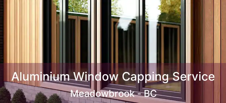  Aluminium Window Capping Service Meadowbrook - BC