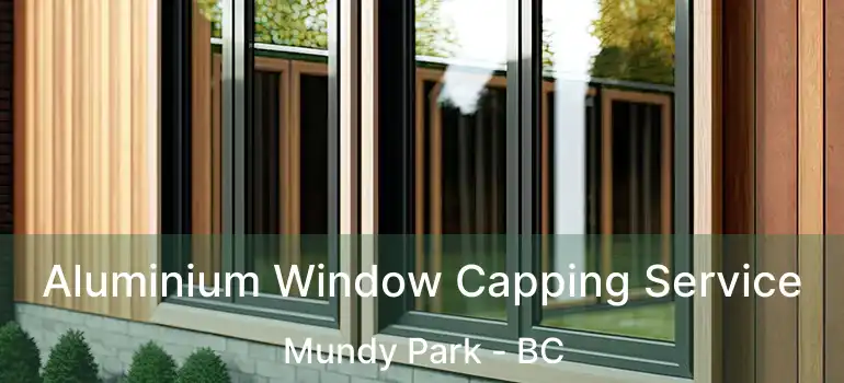  Aluminium Window Capping Service Mundy Park - BC