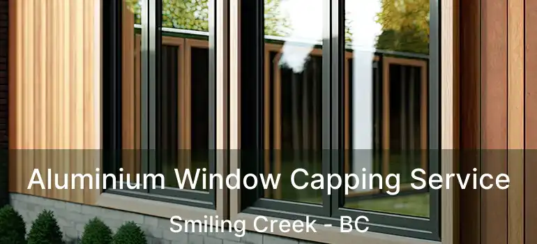  Aluminium Window Capping Service Smiling Creek - BC