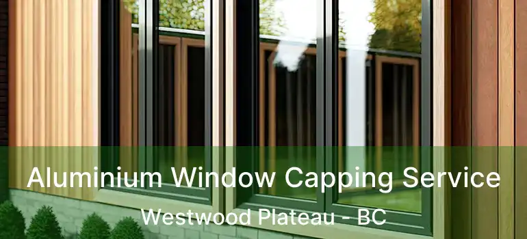  Aluminium Window Capping Service Westwood Plateau - BC