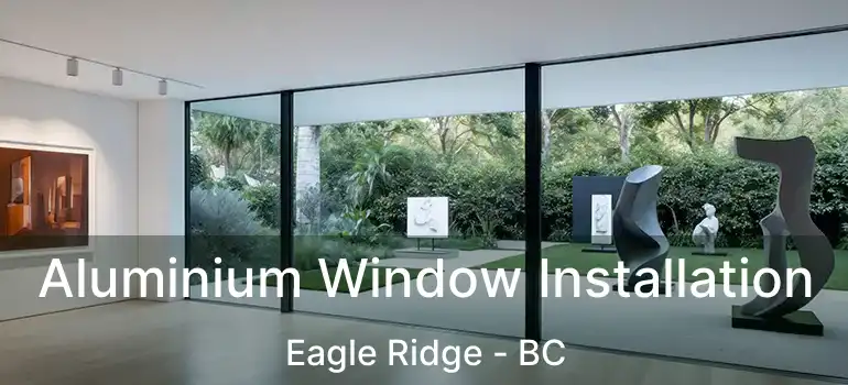  Aluminium Window Installation Eagle Ridge - BC