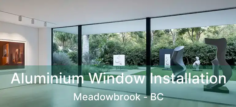  Aluminium Window Installation Meadowbrook - BC