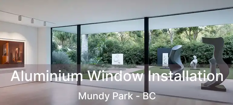  Aluminium Window Installation Mundy Park - BC