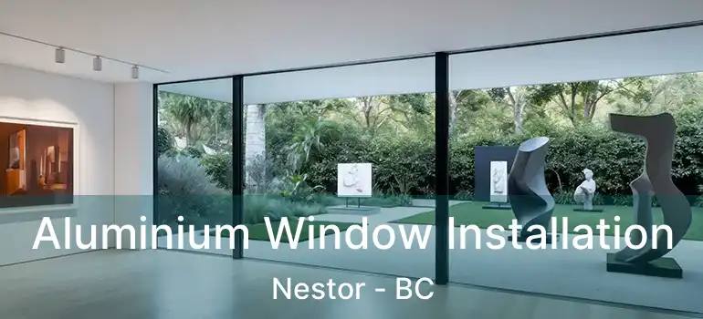  Aluminium Window Installation Nestor - BC