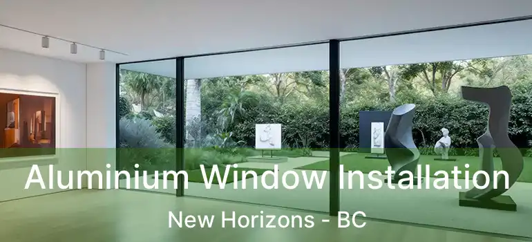  Aluminium Window Installation New Horizons - BC