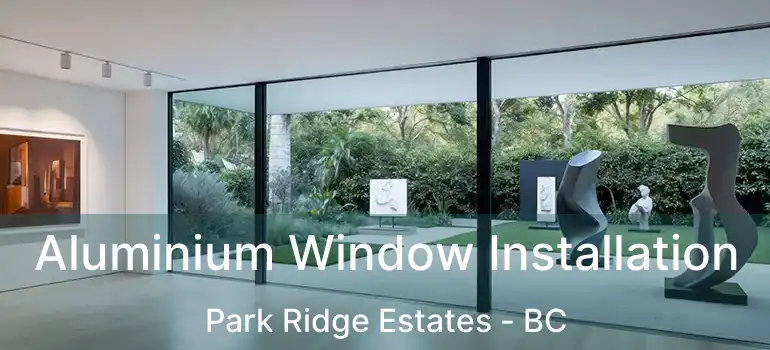  Aluminium Window Installation Park Ridge Estates - BC