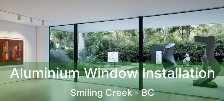  Aluminium Window Installation Smiling Creek - BC