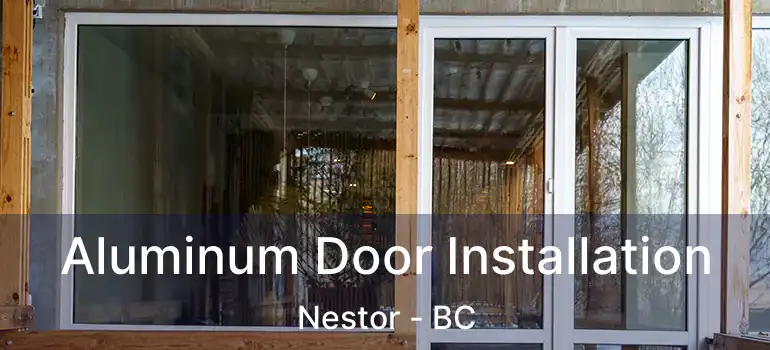  Aluminum Door Installation Nestor - BC