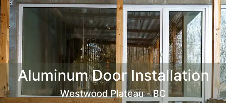  Aluminum Door Installation Westwood Plateau - BC