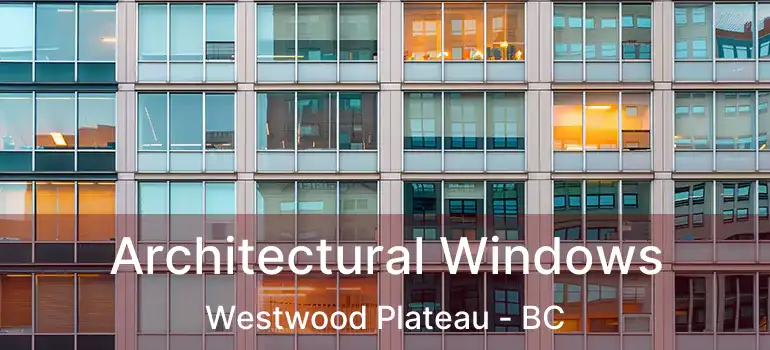  Architectural Windows Westwood Plateau - BC