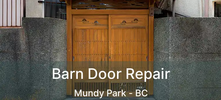  Barn Door Repair Mundy Park - BC