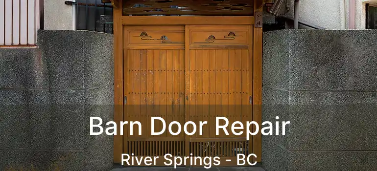  Barn Door Repair River Springs - BC