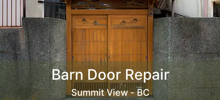  Barn Door Repair Summit View - BC