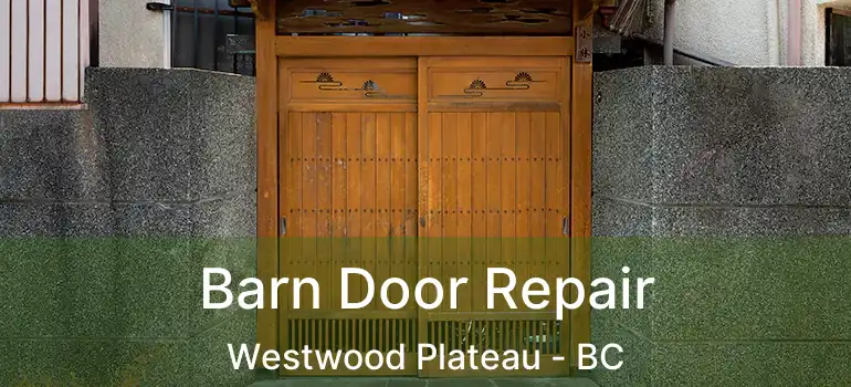  Barn Door Repair Westwood Plateau - BC