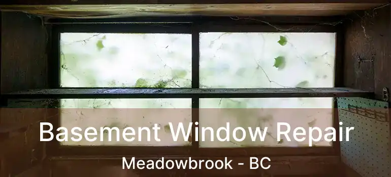  Basement Window Repair Meadowbrook - BC