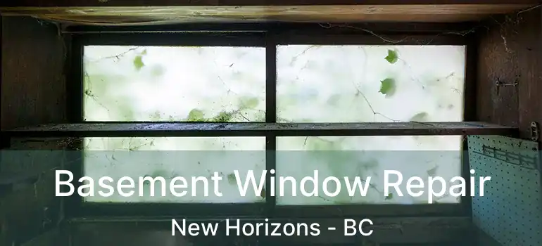  Basement Window Repair New Horizons - BC
