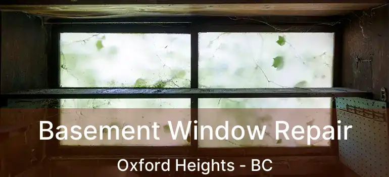  Basement Window Repair Oxford Heights - BC