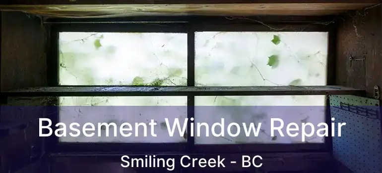  Basement Window Repair Smiling Creek - BC
