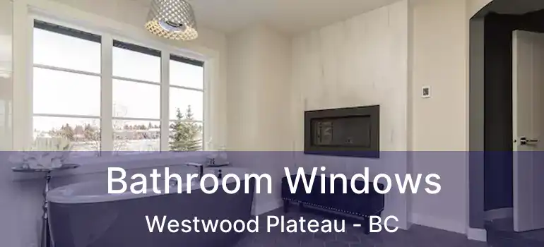  Bathroom Windows Westwood Plateau - BC