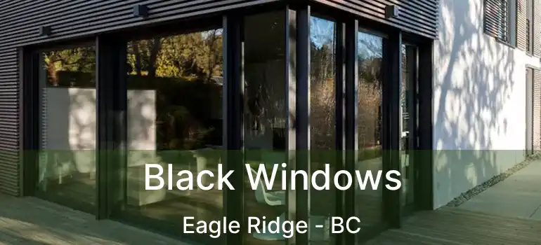  Black Windows Eagle Ridge - BC