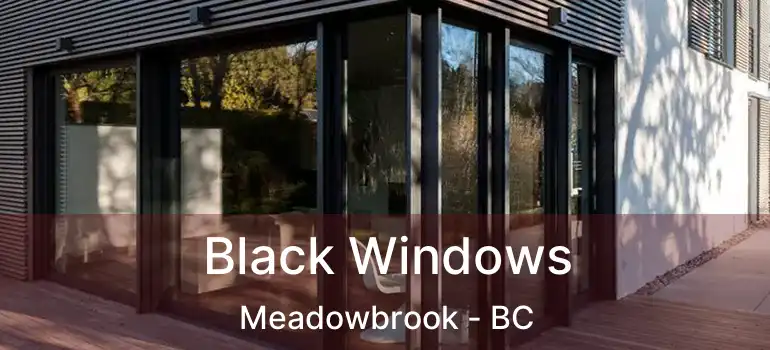  Black Windows Meadowbrook - BC