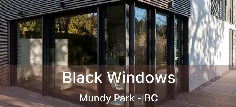  Black Windows Mundy Park - BC