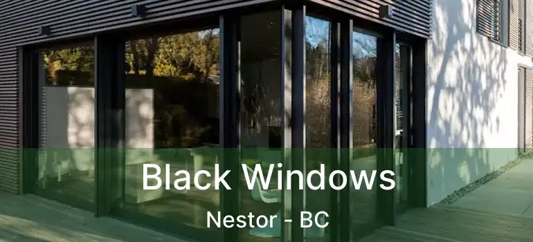  Black Windows Nestor - BC