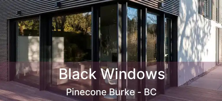  Black Windows Pinecone Burke - BC