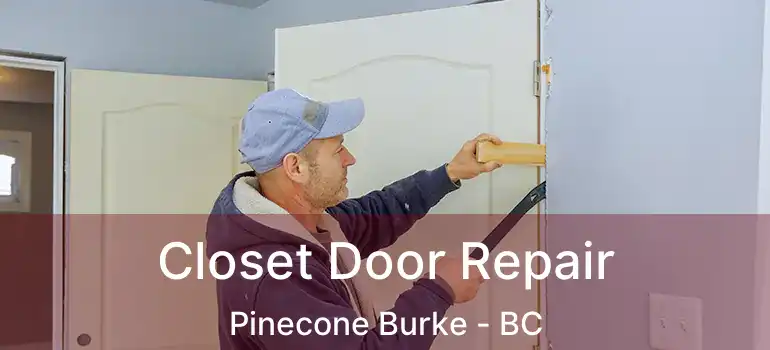  Closet Door Repair Pinecone Burke - BC