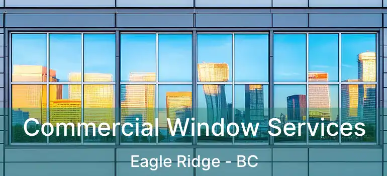  Commercial Window Services Eagle Ridge - BC