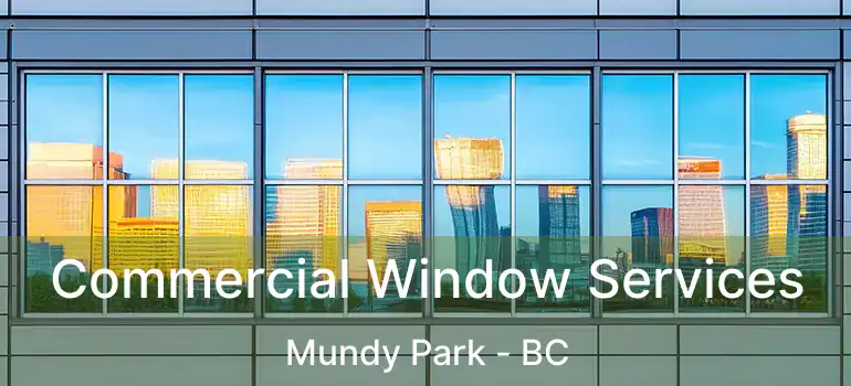  Commercial Window Services Mundy Park - BC