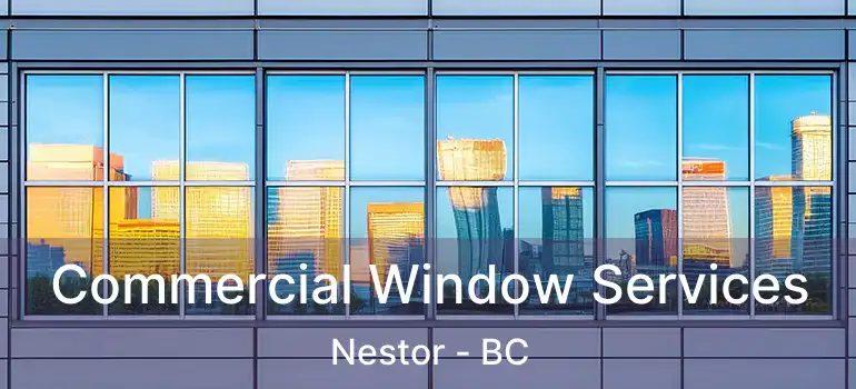  Commercial Window Services Nestor - BC