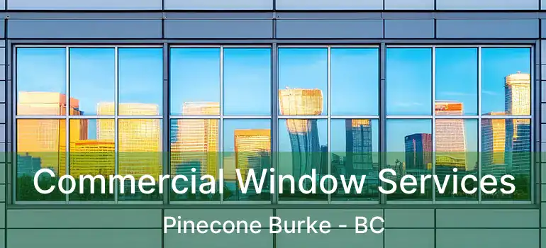  Commercial Window Services Pinecone Burke - BC