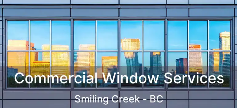  Commercial Window Services Smiling Creek - BC