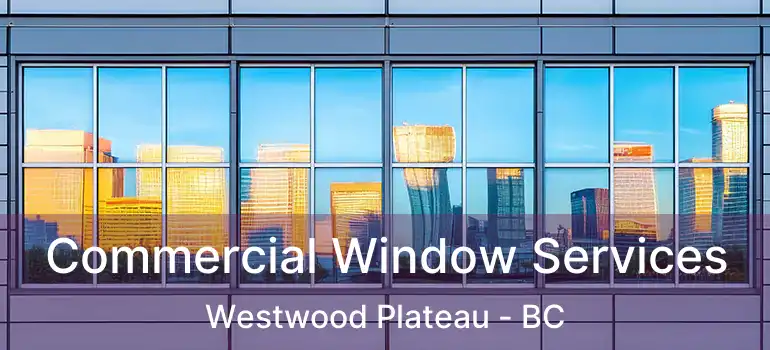  Commercial Window Services Westwood Plateau - BC