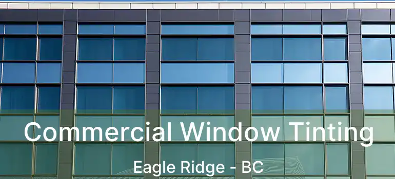  Commercial Window Tinting Eagle Ridge - BC