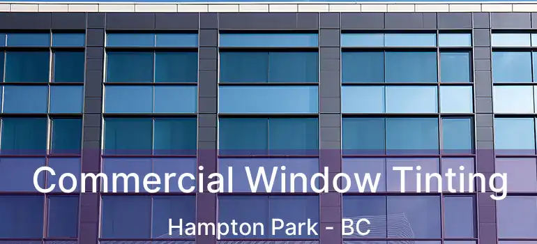  Commercial Window Tinting Hampton Park - BC