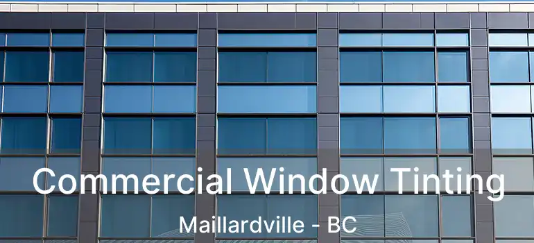  Commercial Window Tinting Maillardville - BC