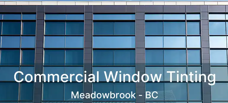  Commercial Window Tinting Meadowbrook - BC