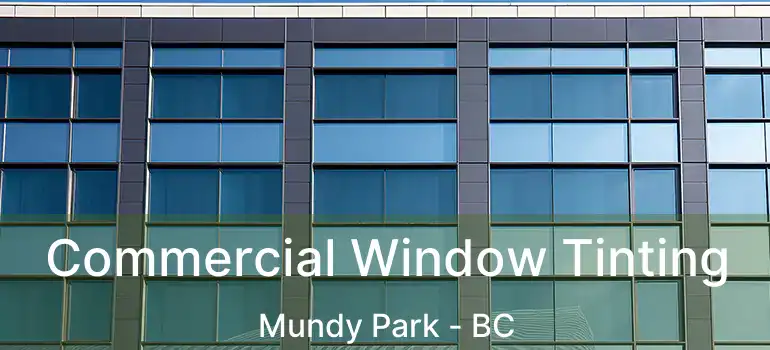  Commercial Window Tinting Mundy Park - BC