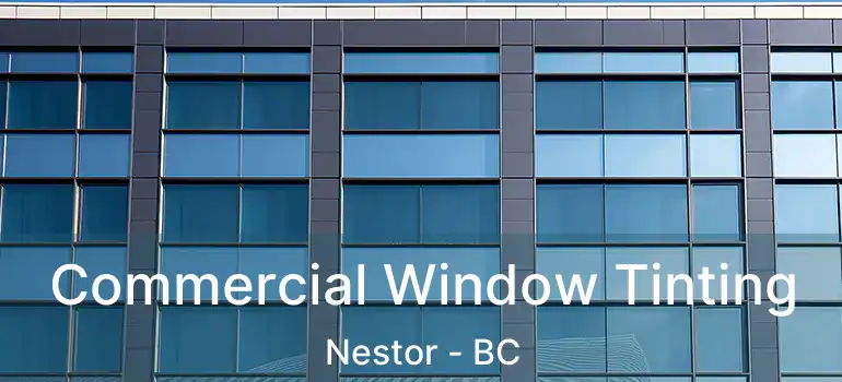  Commercial Window Tinting Nestor - BC