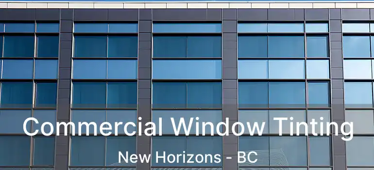  Commercial Window Tinting New Horizons - BC
