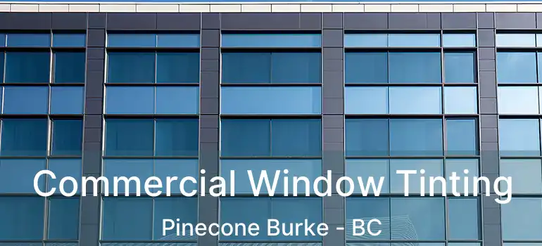  Commercial Window Tinting Pinecone Burke - BC