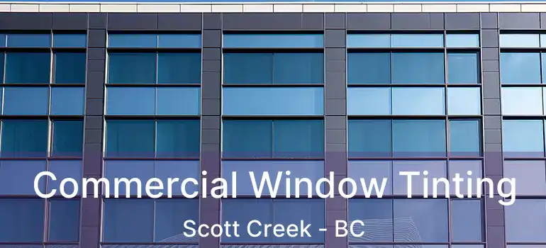  Commercial Window Tinting Scott Creek - BC